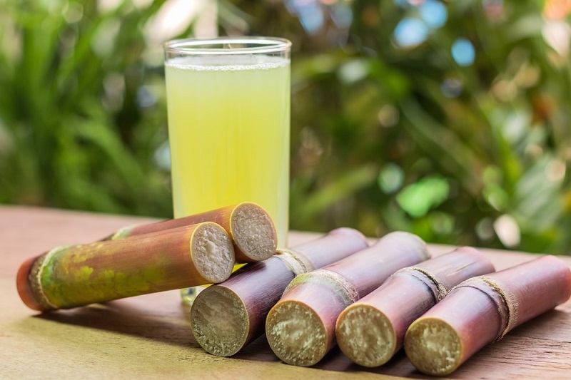 sugar cane how to eat